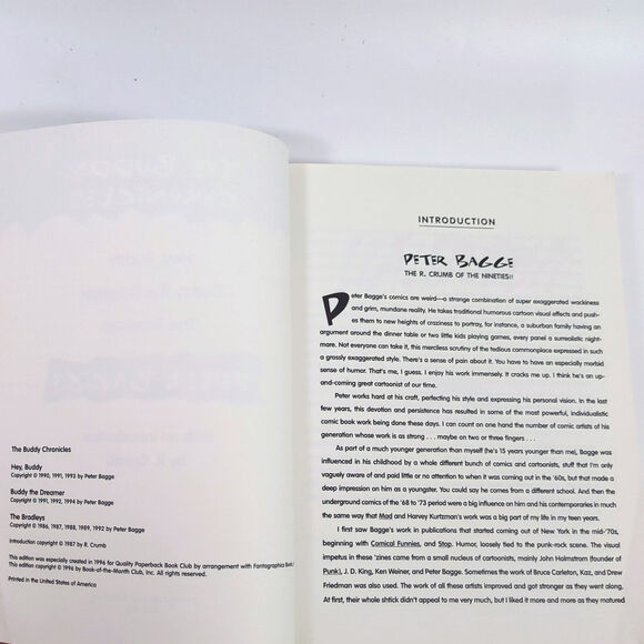 Peter Bagge THE BUDDY CHRONICLES Graphic Novel 1996 R. Crumb Intro TPB - Picture 3 of 4